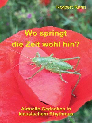 cover image of Wo springt die Zeit wohl hin?